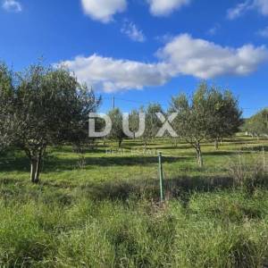 ISTRA, POREČ - Zemljište za gradnju dviju kuća nadomak Svetog Lovreča - mir i autentičnost Istre