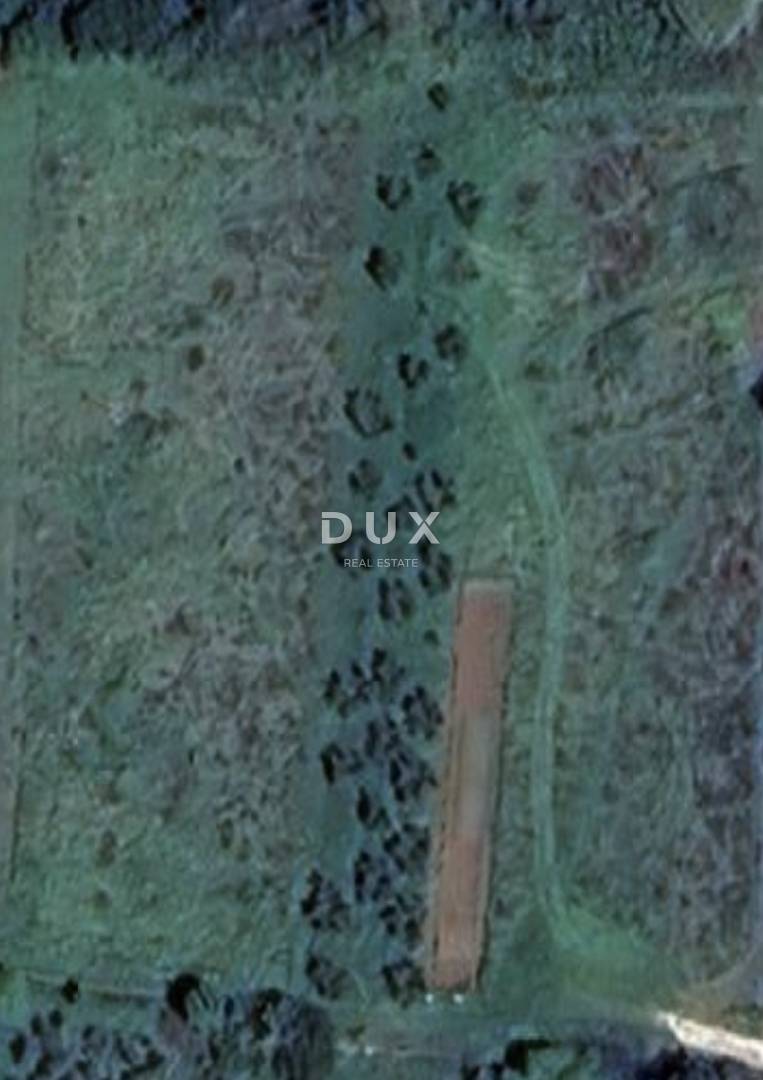 ISTRA, PREMANTURA - Građevinsko zemljište 1000 m2!