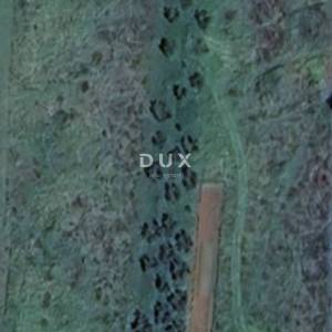 ISTRA, PREMANTURA - Građevinsko zemljište 1000 m2!