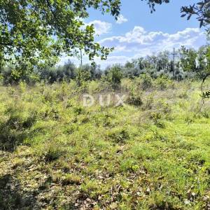 ISTRA, PULA Građevinsko zemljište + maslinik 5800 m2
