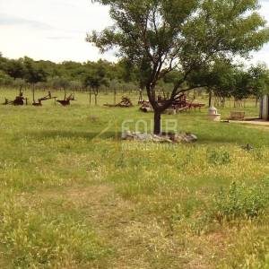 Istra, Pula - Veli Vrh, 2s+db, 100m2 