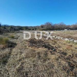 ISTRA, ROVINJ -Prostrano poljoprivredno zemljište u blizini mora