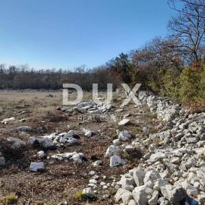 ISTRA, ROVINJ -Prostrano poljoprivredno zemljište u blizini mora