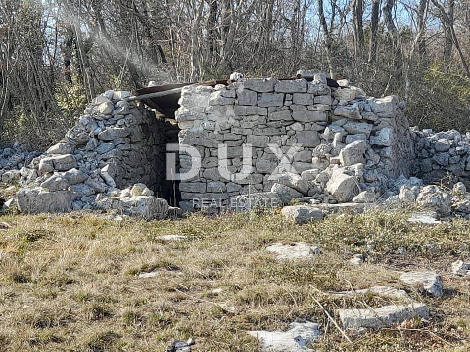 ISTRA, ROVINJ -Prostrano poljoprivredno zemljište u blizini mora