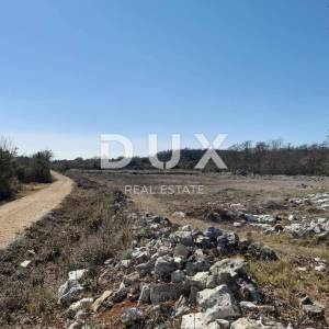 ISTRA, ROVINJ -Prostrano poljoprivredno zemljište u blizini mora