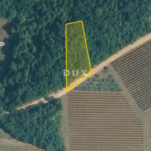 ISTRA, VIŠNJAN - Poljoprivredno zemljište