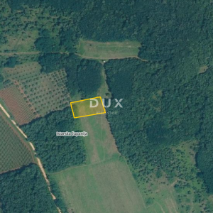 ISTRA, VIŽINADA - Poljoprivredno zemljište