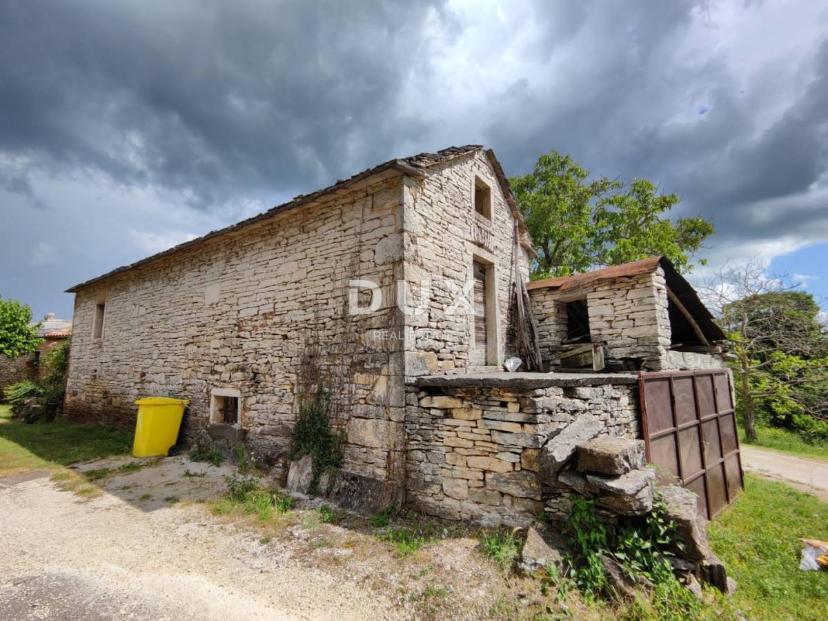 ISTRA,OPRTALJ - Starina s pogledom na prirodu