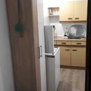 IZNAJMLJUJEM STAN ,MALA KUČA SA DVORIŠTEM I VRTOM.50M2,Ferenščica l