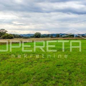 Jakovlje, Jakovlje, 3.884,00 m2, 194.225,00 EUR