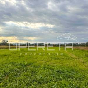 Jakovlje, Jakovlje, 3.884,00 m2, 194.225,00 EUR