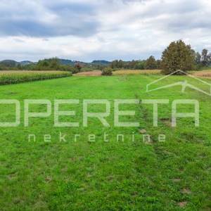 Jakovlje, Jakovlje, 4.812,00 m2, 48.120,00 EUR