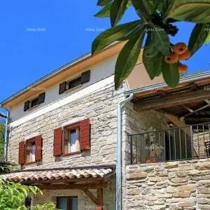 Kamena kuća sa bazenom i panoramskim pogledom. Blizina Livada.