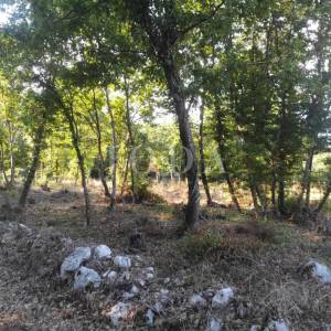 Karojba, Rakotule građevinsko zemljište sa projektom i građevinskom dozvolom