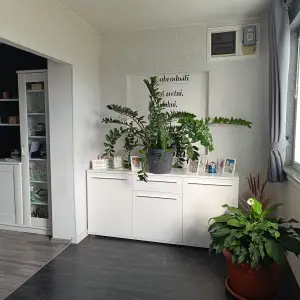 Komforan trosoban stan sa dvorištem i konobom