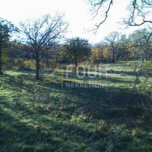 Krasica, građevinsko i poljoprivredno zemljište, 7.768m2