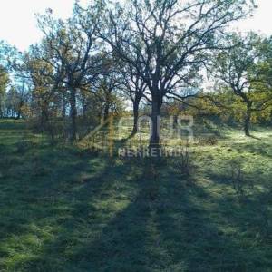 Krasica, građevinsko i poljoprivredno zemljište, 7.768m2