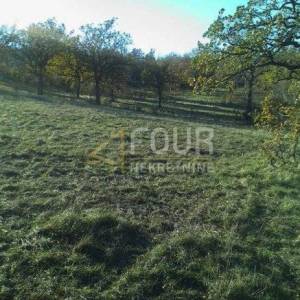 Krasica, građevinsko i poljoprivredno zemljište, 7.768m2