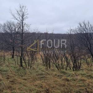 Krasica, građevinsko i poljoprivredno zemljište, 7.768m2