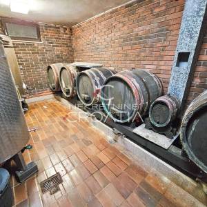 KUĆA NA BRIJEGU, PEŠĆENICA VINIČKA