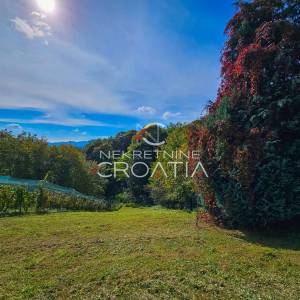 KUĆA NA BRIJEGU, PEŠĆENICA VINIČKA