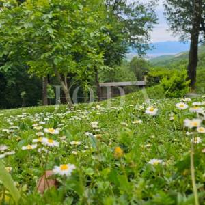 Kuća sa 4000m2 zemljišta