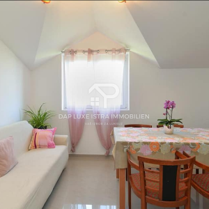 Kuća sa 6 apartmana i bazenom Valbandon