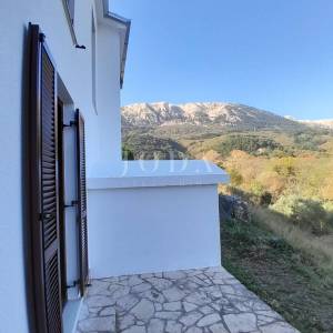 Kuća sa aprtmanima i bazenom