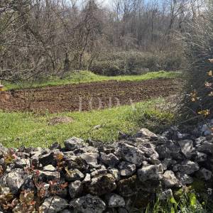 Labin, okolica, istarska kuća za adaptaciju na velikom imanju