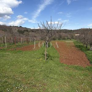Labin, okolica, istarska kuća za adaptaciju na velikom imanju