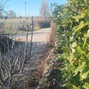 Labin, okolica, kuća roh-bau sa bazenom na mirnoj lokaciji