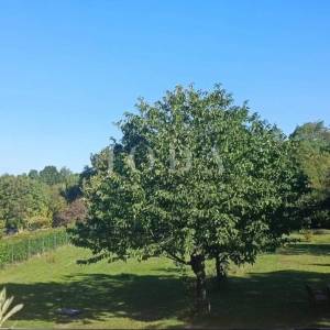 Labin, okolica, kuća sa dvije stambene jedinice sa bazenom i jacuzzijem