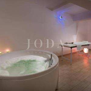 Labin, okolica, luksuzna Villa sa spa zonom