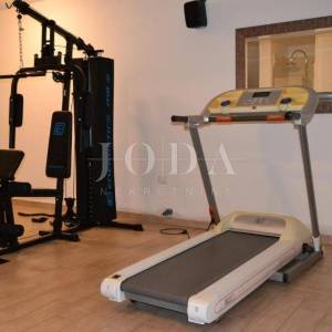 Labin, okolica, luksuzna Villa sa spa zonom