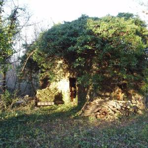 MARČANA – Kuća/ruševina s velikom parcelom