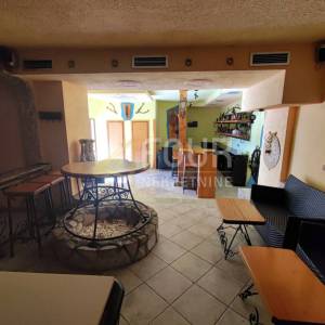 Matulji - okolica, adaptirana kuća s 2 apartmana i poslovnim prostorom