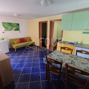 Matulji - okolica, adaptirana kuća s 2 apartmana i poslovnim prostorom