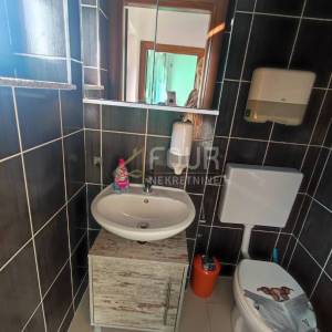 Matulji - okolica, adaptirana kuća s 2 apartmana i poslovnim prostorom