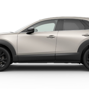 Mazda CX-30 5WGN 2.5 e-SKYACTIV G 140PS 6AT FWD HOMURA