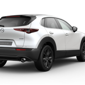 Mazda CX-30 5WGN 2.5L e-SKYACTIV G 140ps 6AT FWD HOMURA