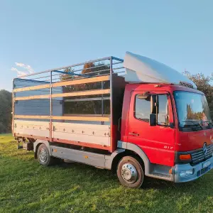 Mercedes atego 817