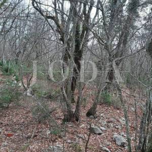 Moderna vila u mirnom okruženju