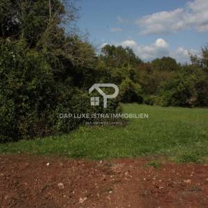 Na prodaju Građevinsko zemljište nedaleko Barbana 1497m2