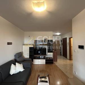 Najam, Istra, Kaštanjer, 1s+db, 48m2