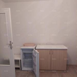 Novigrad – Mareda, stan s terasom 300 m od mora