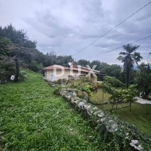 OPATIJA, LOVRAN - kuća prizemnica135m2, 2.RED DO MORA!!!! s panoramskim pogledom na more + okoliš