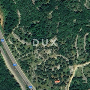 OTOK KRK, GRAD KRK - Maslinik