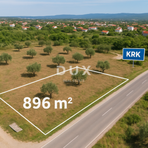 OTOK KRK, GRAD KRK - Maslinik