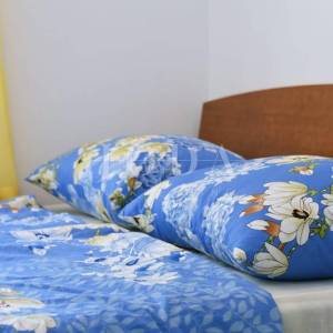 Otok Krk - Kuća s dva stana i bazenom