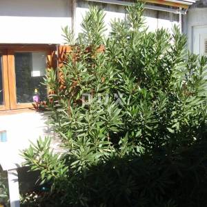 OTOK KRK, PUNAT - Apartman 51 m2 u prizemlju sa okućnicom